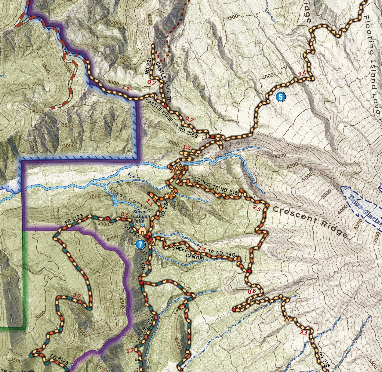 Mount Saint Helens National Volcanic Monument Field Map