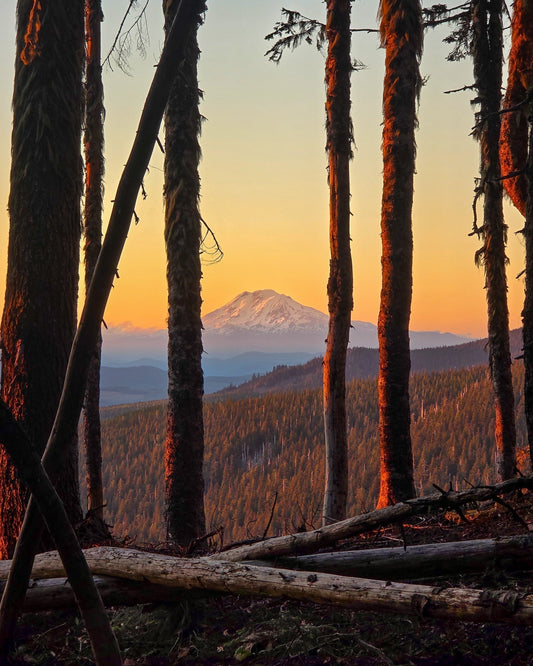 Timberline Trail Mount Hood 2026