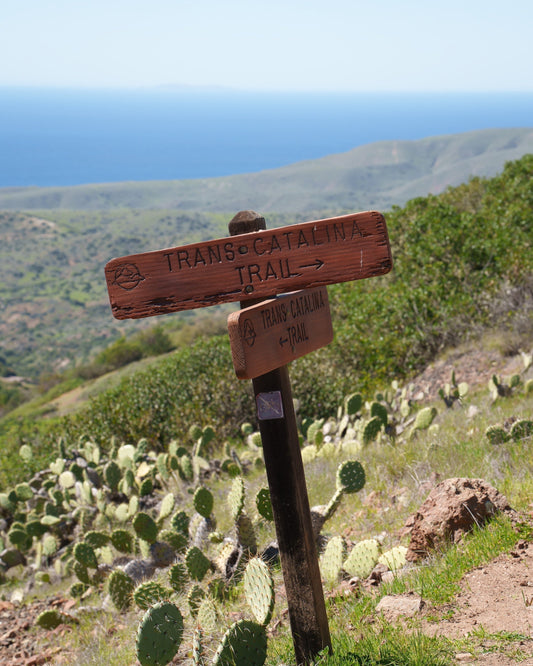 Hiking the Trans Catalina Trail