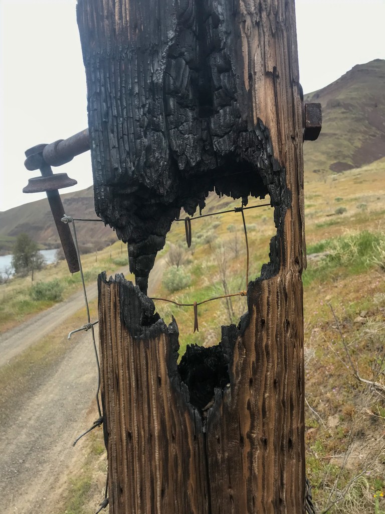 result of 2018 substation fire