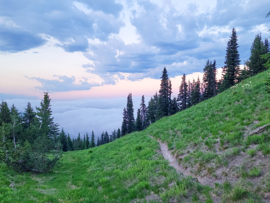 TimberlineTrailJuly (9)